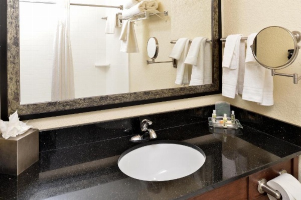 Holiday Inn Montgomery South Airport image 9